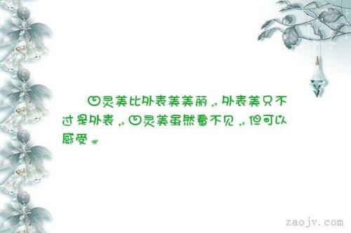 描述人类灵魂之美的句子