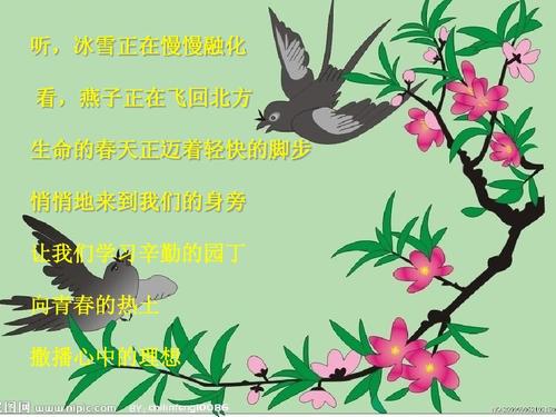 关于青春的诗