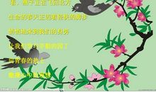 关于青春的诗歌