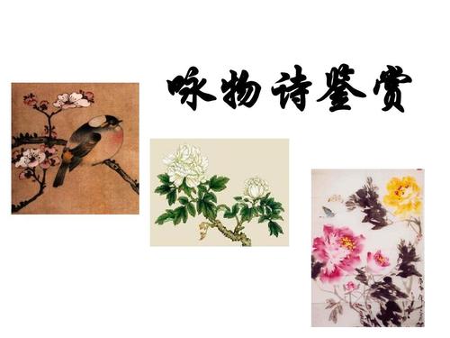 抒情诗歌