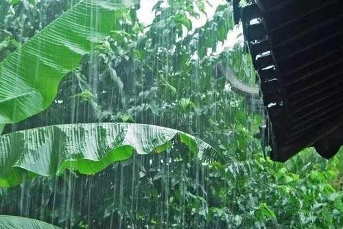 夏雨诗