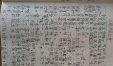 描写运动会的好句子