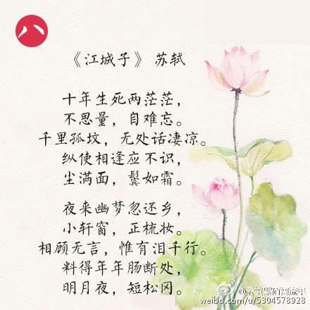 包含爱的词