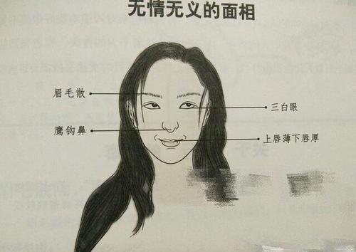 形容美女的词