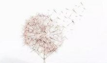 令人感触很深的话