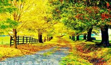 描写秋天的语句