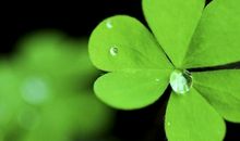 让心情好的句子