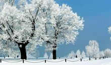 描写玩雪的段落