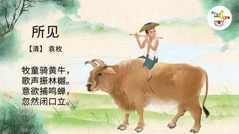 关于夏天的诗