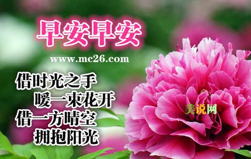 早上好