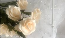 温暖走心的优美的句子