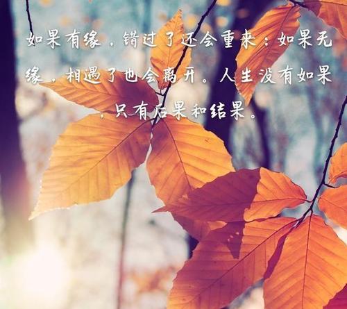 命运的句子