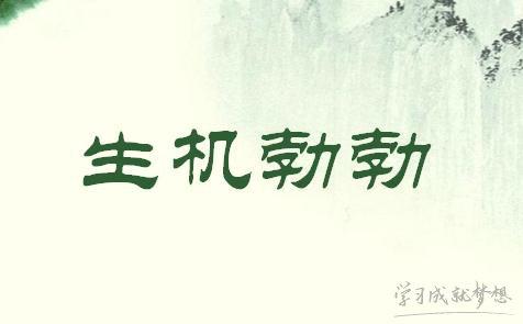 八字成语说明