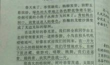 描写冬的优美句子