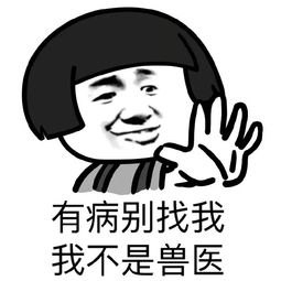 没有脏话的脏话