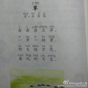 赞美草歌