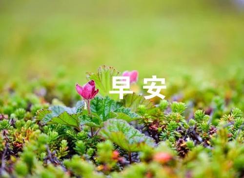微信祝福