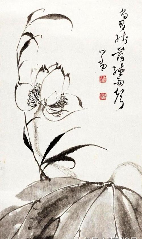 关于莲花的诗