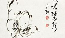 荷花有关的诗句