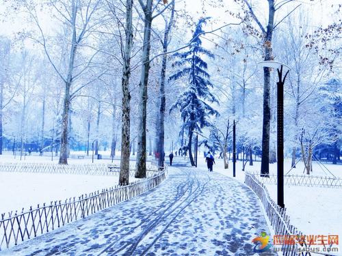 描述雪的陈述
