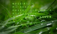 圣经的经典句子