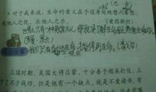 关于珍爱生命的格言