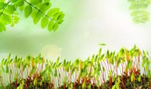 描写春天的名言