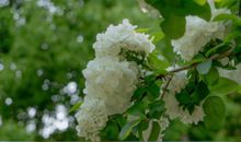 2020感悟生活不易的经典句子 感慨生活不易的句子