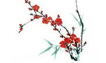 赞美梅花的成语