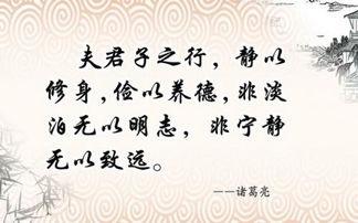 面试行情