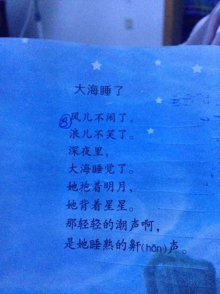 描写大海的诗