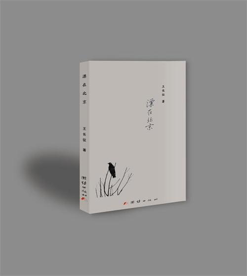 爱靖诗