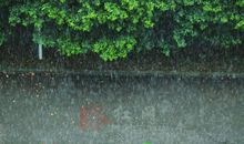 描写雨景的片段