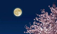 有关秋月的诗句