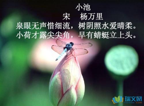 描述夏天的诗句
