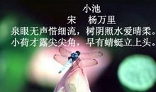 描述夏天的诗句