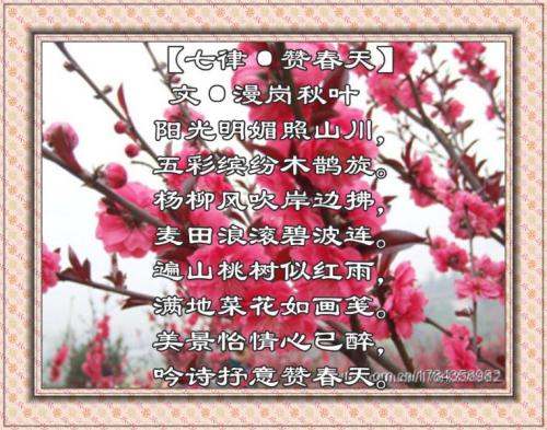 描写花朵的诗句