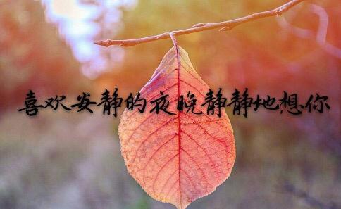花句
