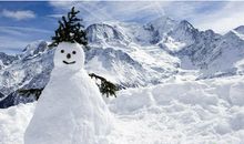 写雪的优美语句