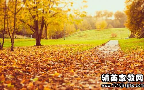 秋天美丽的句子