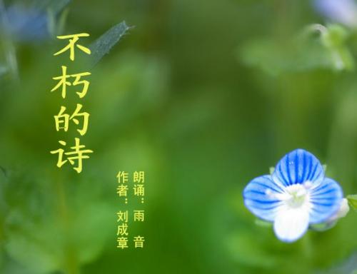抒情诗歌