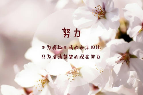 奋斗座右铭