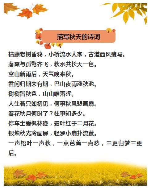 秋天的好单词和句子