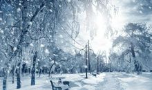 冬天的优美语句