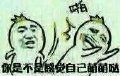 经典句子