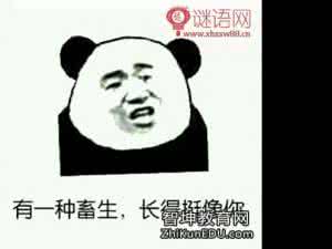 你发誓越毒，越好