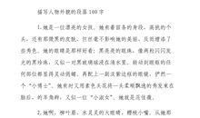 描写弟弟外貌的段落