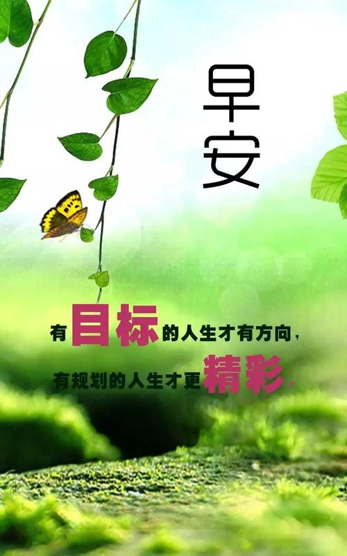 充满正能量佛教的句子