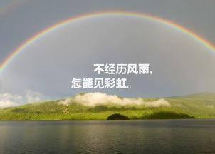 阳光行情