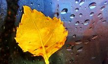 秋天伤感唯美的句子